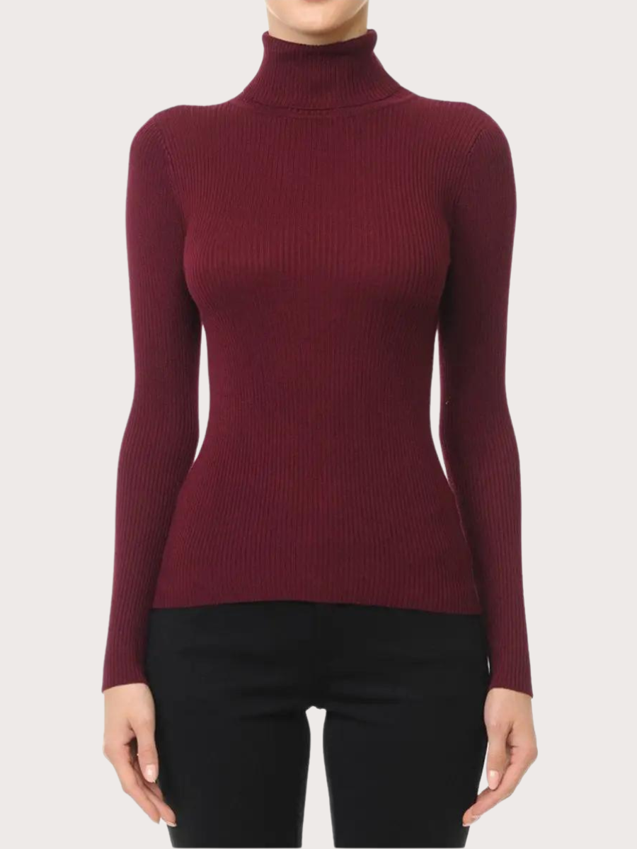 Long Sleeve Turtleneck Sweater - Basic Bee