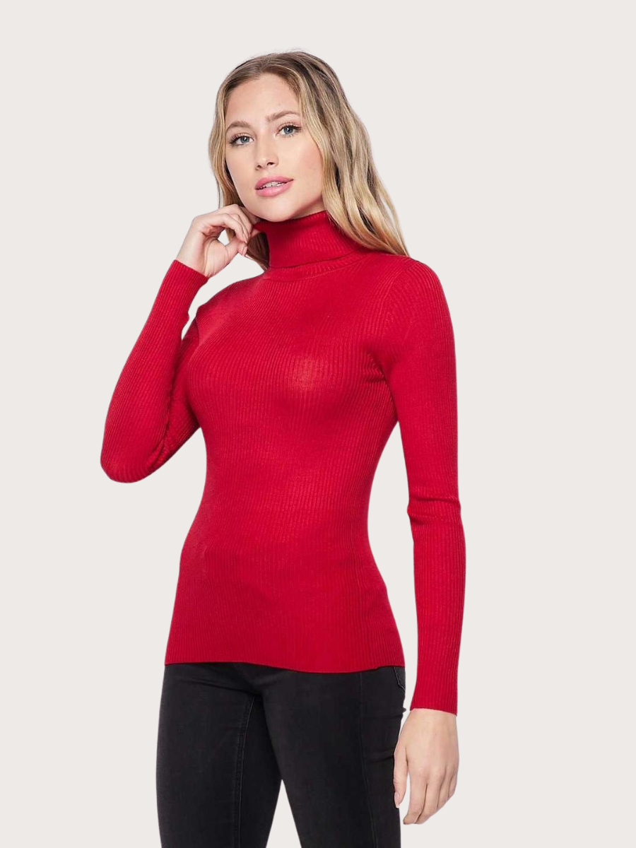 Long Sleeve Turtleneck Sweater - Basic Bee