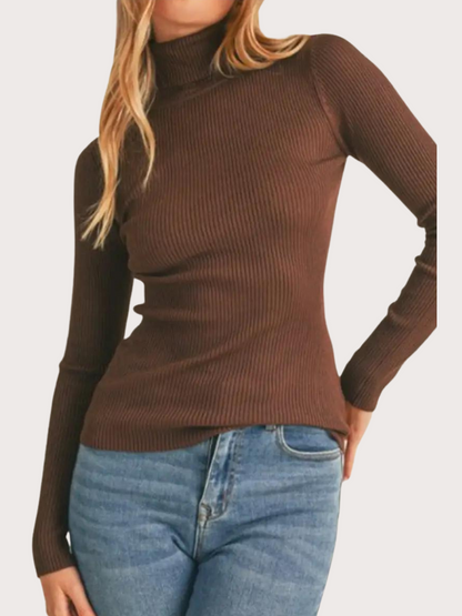 Long Sleeve Turtleneck Sweater - Basic Bee